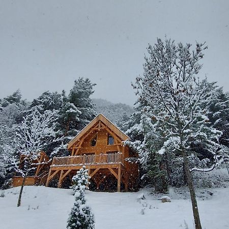 Chalet L'Empreinte Saint-Étienne-de-Tinée 外观 照片